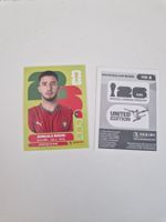 Panini Sticker POR8