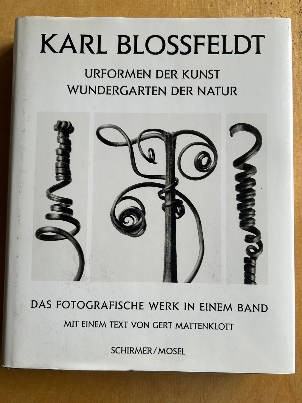 Libri: Buch Karl Blossfeldt – Usato da Zürich venduto da Tm7