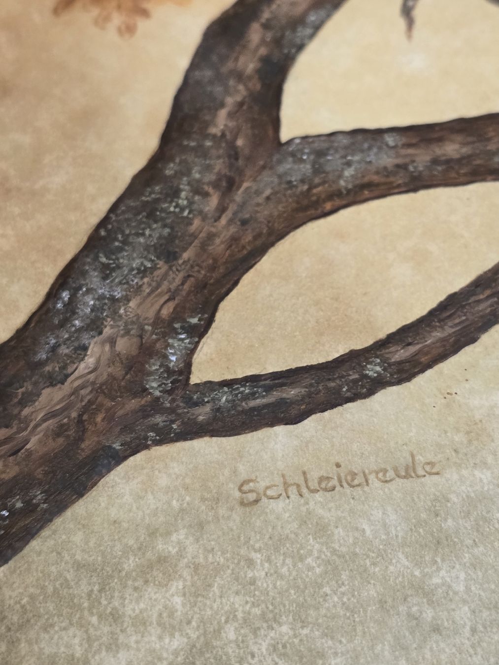 Dipinti: Schleiereule Bild, gerahmt, Verena Meyer, 1993 – Usato da Rorschach venduto da TimelessTrading 1