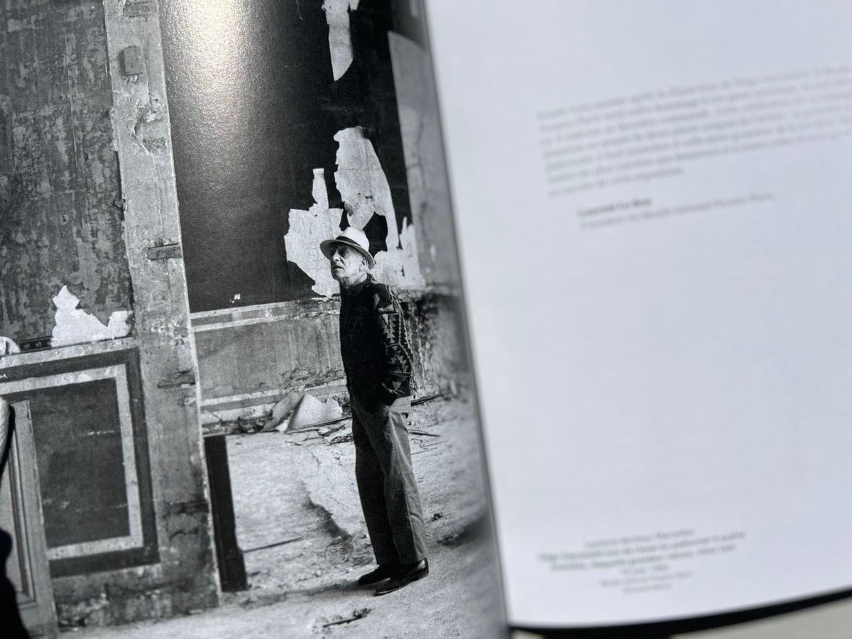 Libri: Diego Giacometti au musée Picasso – Usato da Zürich venduto da Coffeetable88 1