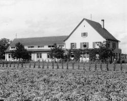 10 FOTOS vom Behindertenheim OSSINGEN um 1940