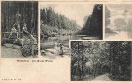 Winterthur am walke Weiher