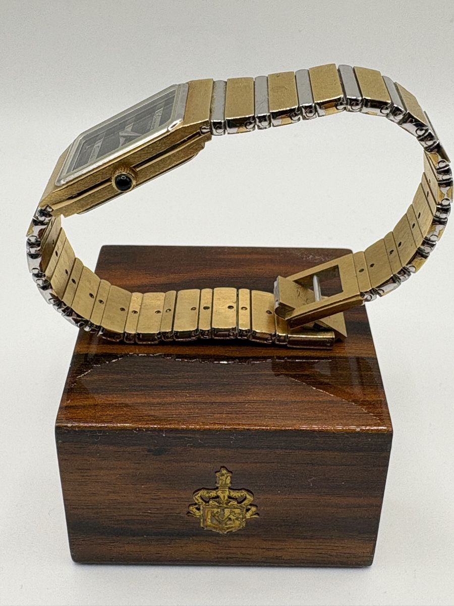 Swiss Orologi: Montre LÉONARD Genève  – Usato da Vevey venduto da carybde 2