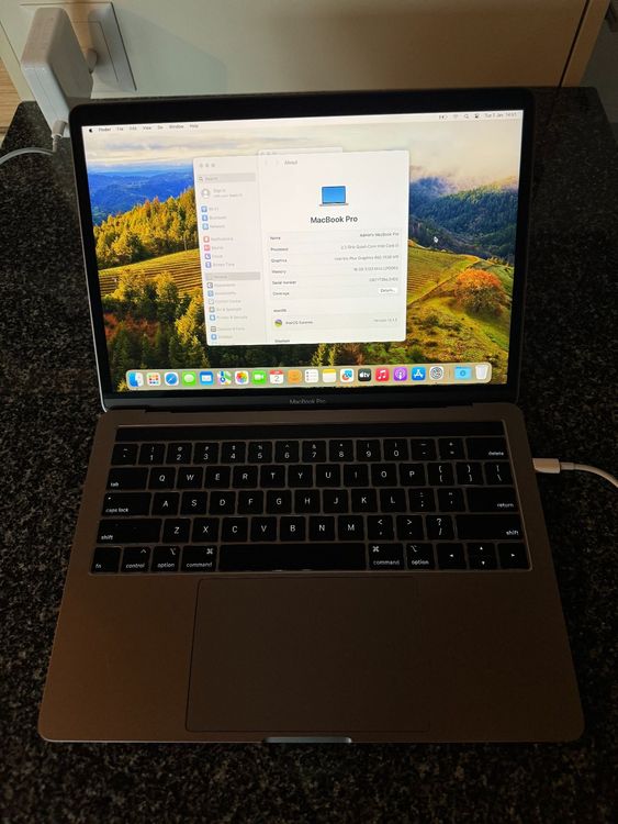 Apple MacBook Pro 14 M4 10C CPU 10C GPU 16Go RAM 1 To SSD - Argent - mw2x3d/a