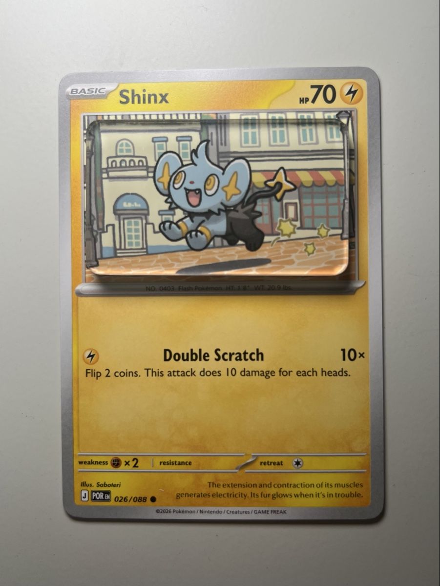 Pokémon Carte collezionabili: Pokemon Shinx Magnet – Nuovo (secondo la descrizione) da Langenthal venduto da EceSuzu 1