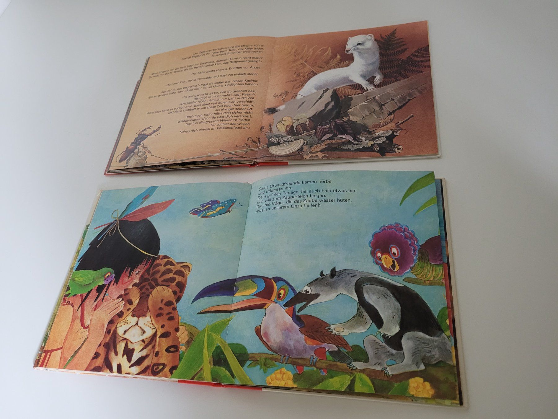 Bücher: 4x Silva Kinderbuch Klassiker Vintage Sammlung – Gebraucht aus Zofingen von Loop_ReSale 3
