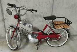 Pony Junior AM 2 Gang
