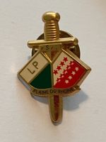 1 Pin Plaine du Rhone