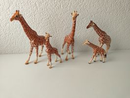 Schleich Giraffen Familie Set Wild Life Zoo Safari Giraffe
