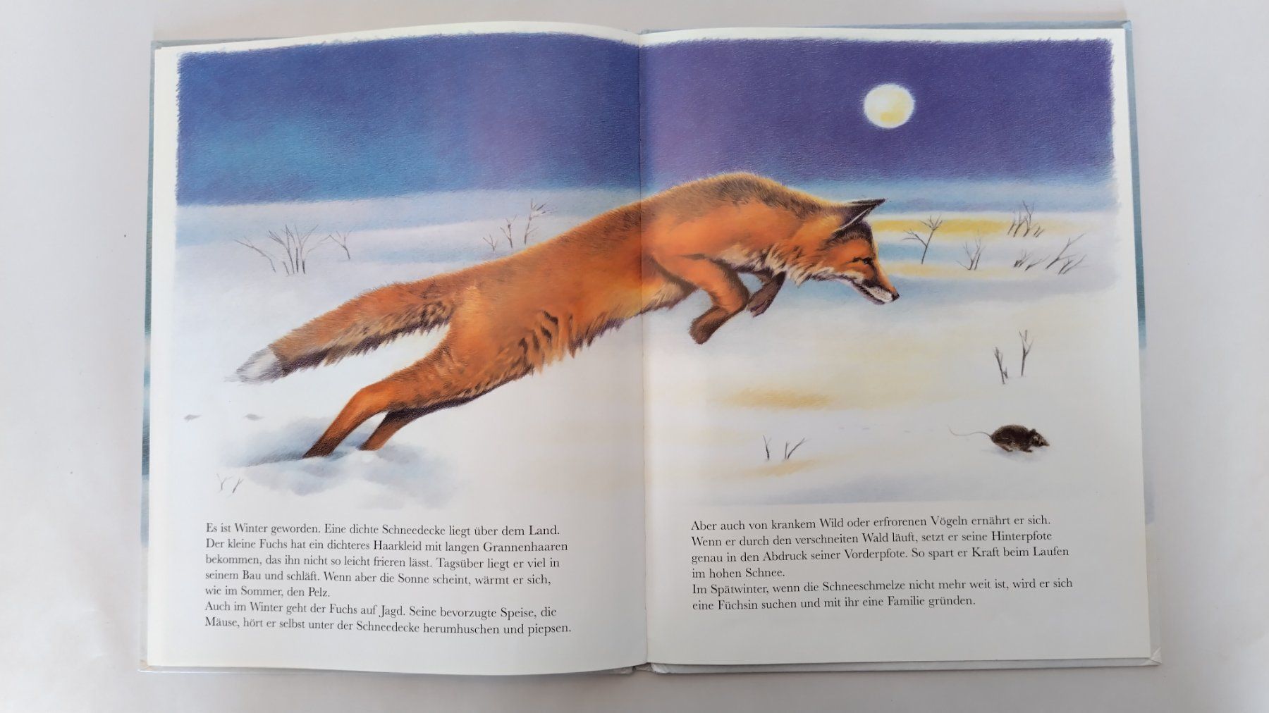 Bücher: Fuchs - Bilderbuch / Fuchsbeute / Ab Fr. 8.- – Gebraucht aus Bellach von JingleJerry 6