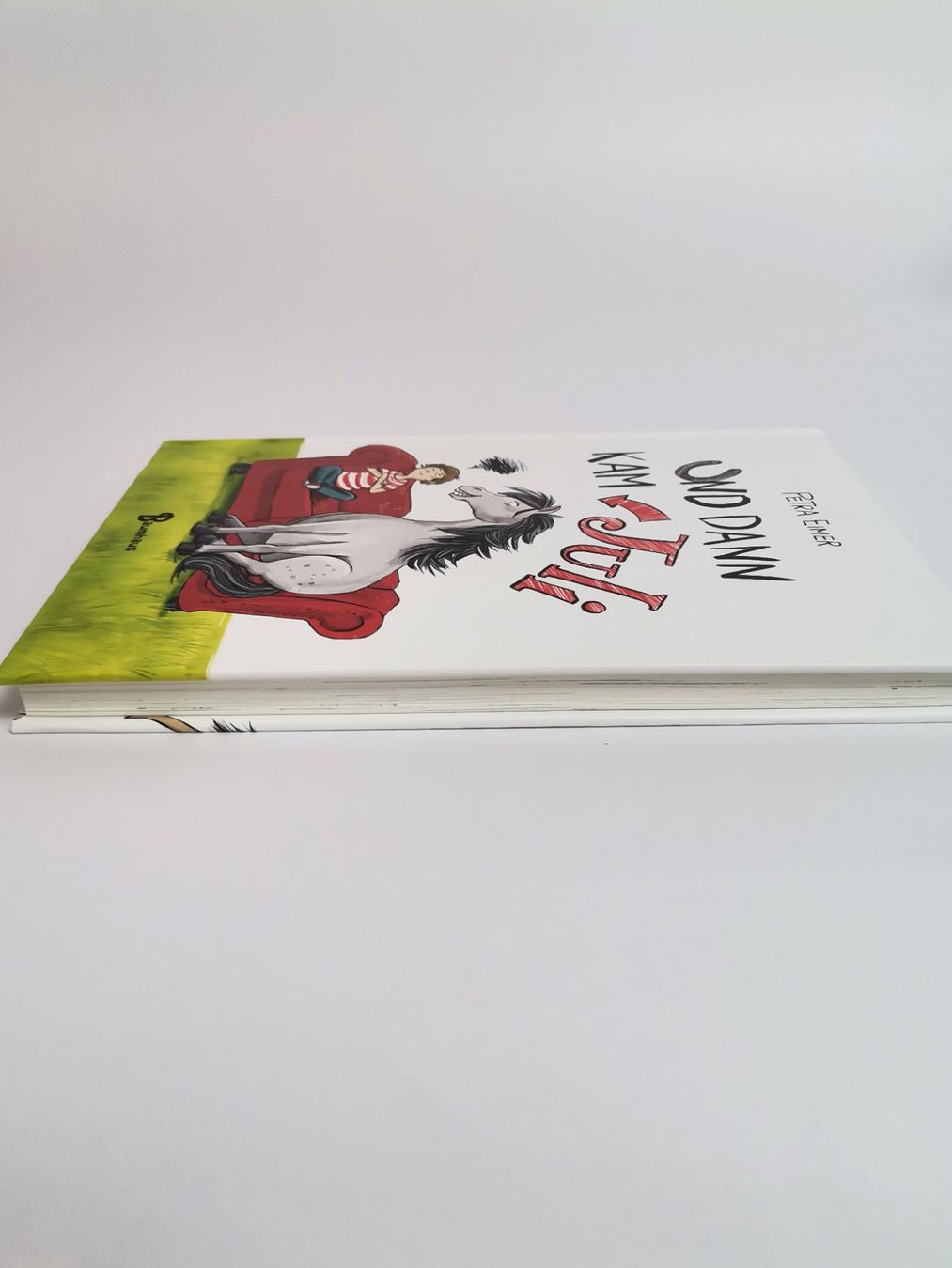 Libri: BUCH Und dann kam Juli – Usato da Schaffhausen venduto da Restwert_SH 4