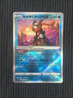 Pokemon Radiant Greninja Battle Region Japan