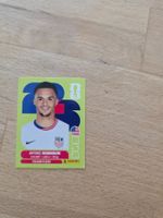 Panini Sticker USA7