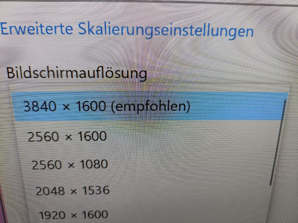HP Z38 Curved Display Kaufen auf Ricardo
