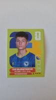 Panini WM 2026 BOSNIA BIH 15