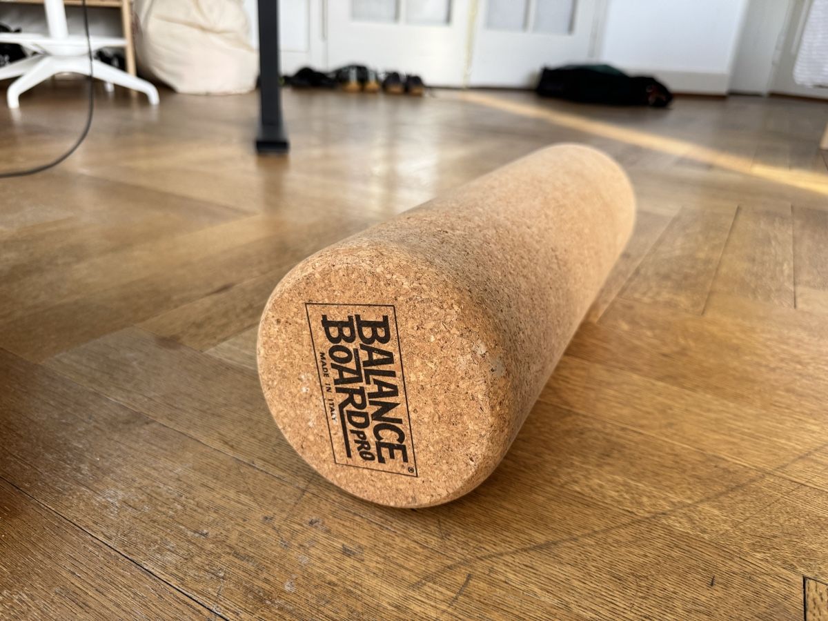 Hometrainer: Balance Board Pro – "The Starter" Kit (Both Rollers) – Usato da Bellinzona venduto da Samirablank 3