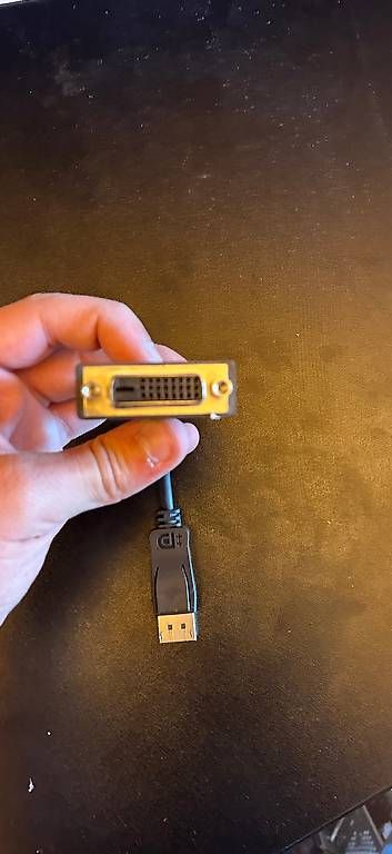 Unità & Adattatore: DisplayPort-zu-DVI-Adapter – Usato da Weisslingen venduto da roe_tz6r 2