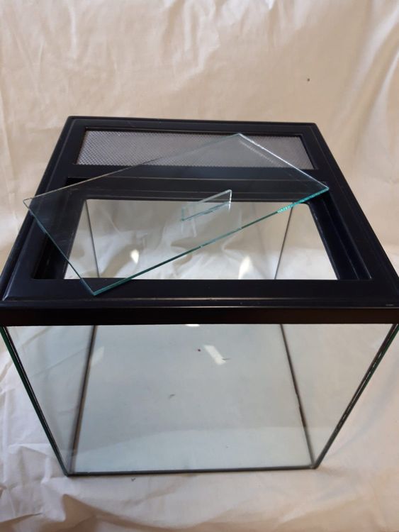 Glas Terrarium Kaufen auf Ricardo