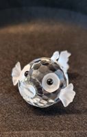 Swarovski Kristall Kugelfisch   Sammler Geschenk