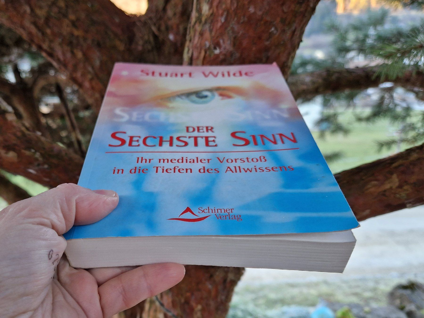 Bücher: Buch - Der sechste Sinn - Stuart Wilde – Gebraucht aus Siblingen von  2