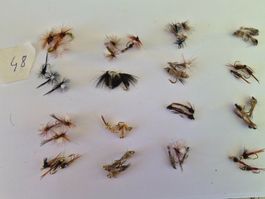 48 Stück Nymphe Trockene und Nass Fliege