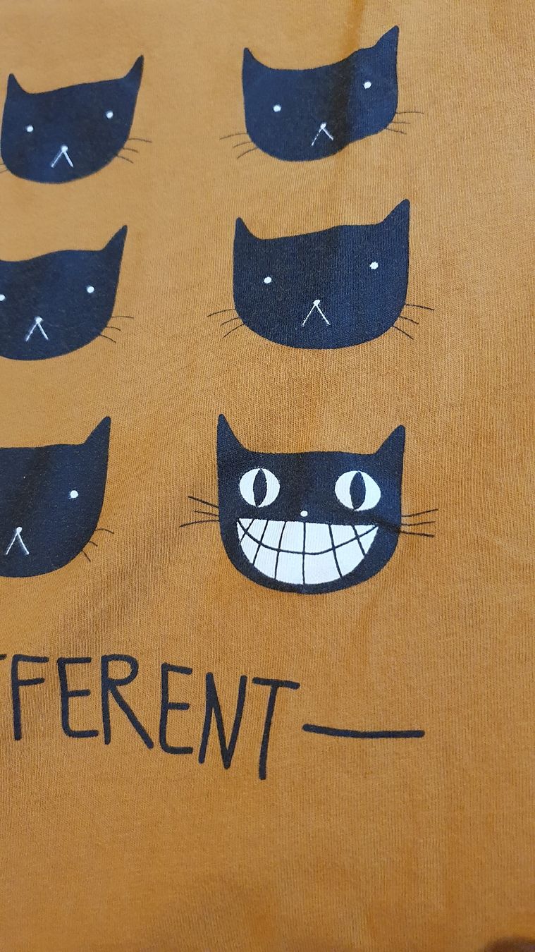 T-Shirts: T-shirt "Be Different" chats – Gebraucht aus Tavannes von lanimeyl 2