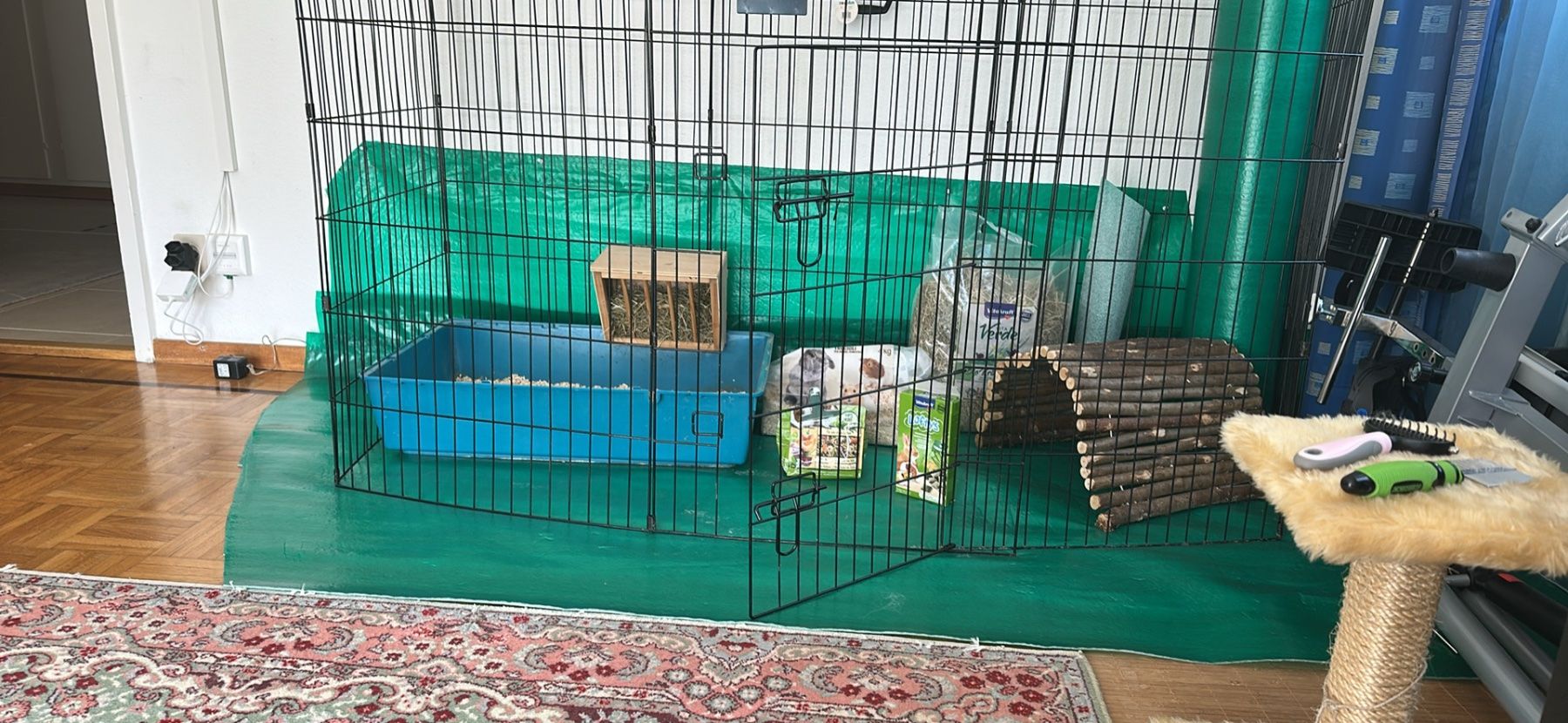 Käfige, Transport & Sicherheit: Enclos + accessoires pour Lapin ou chiots – Gebraucht aus La Tour-de-Peilz von fredy039 4