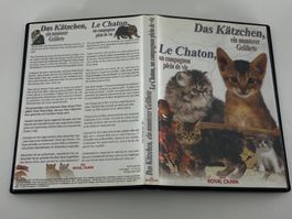 DVD - Das Kätzchen ein munterer Gefährte von Royal Canin