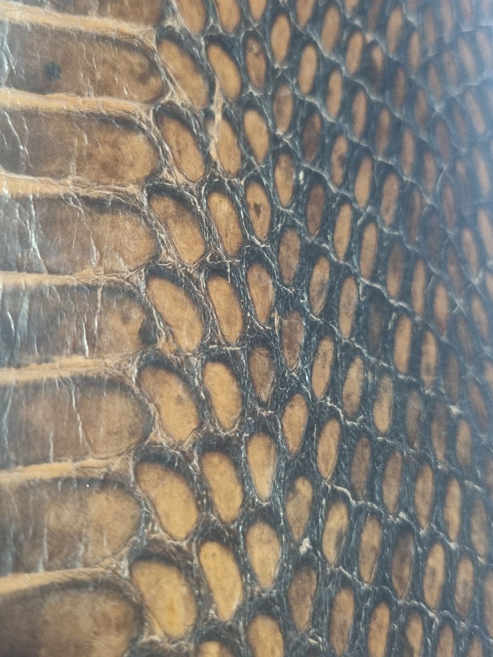 Portefeuilles: Portefeuille cuir crocodile  – D'occasion à Les Cullayes par yan_nvn9 3