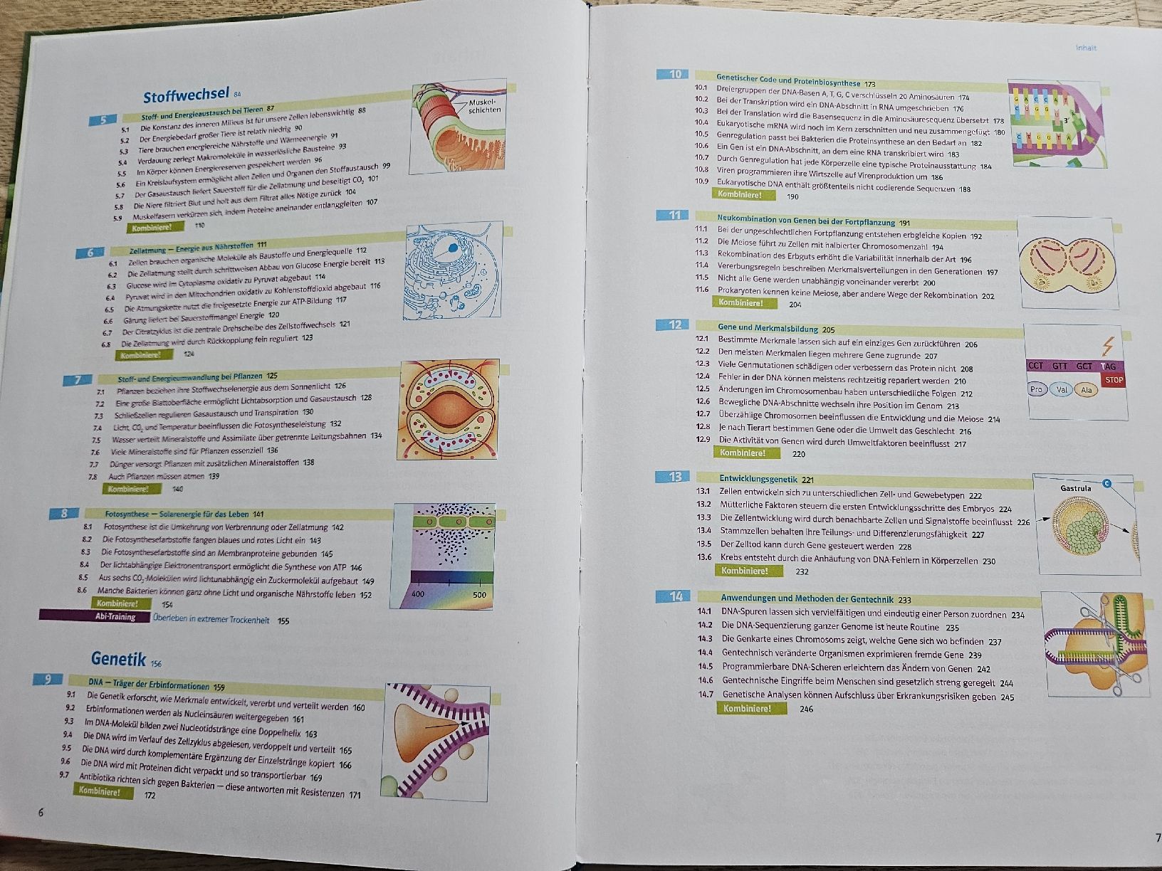 Libri: Markl Biologie | Oberstufe – Nuovo (secondo la descrizione) da Hüntwangen venduto da lev_pc9m 2