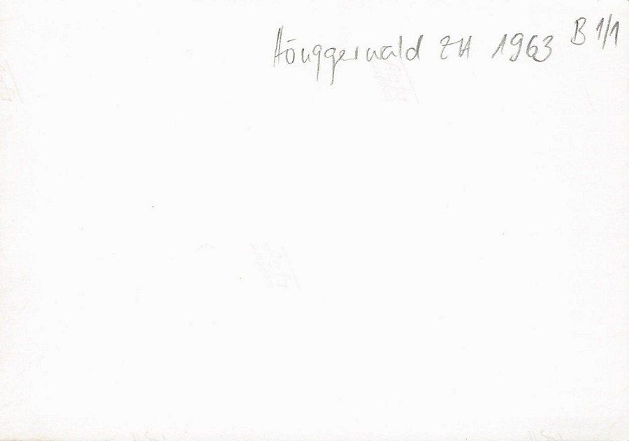 Cartoline postali: Hönggerwald 1963, Privatbild einer Schulklasse 1963 – Usato da Frauenfeld venduto da POML 1
