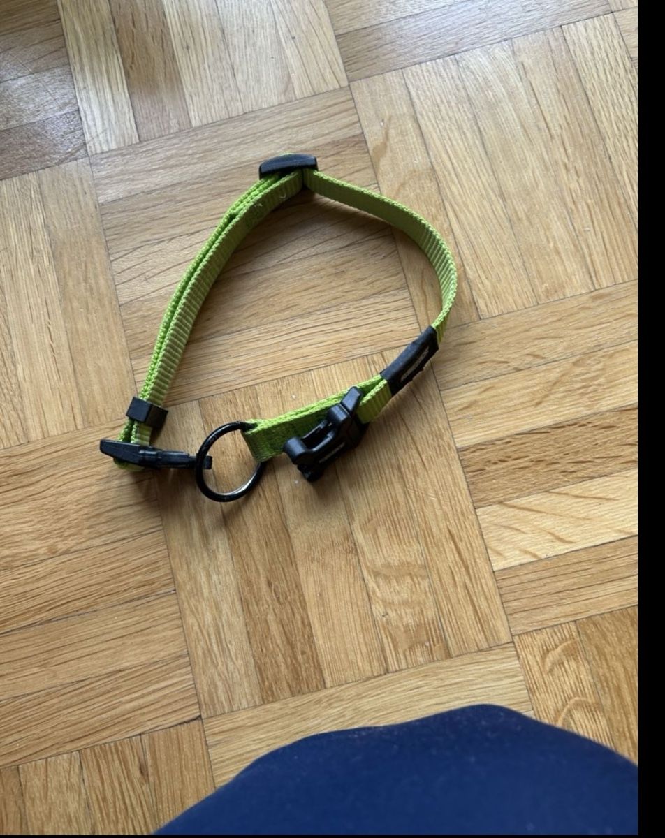 Hunter Leine & Halsband: Reezaeck Hundehalsband – Neu (gemäss Beschreibung) aus St. Gallen von oli_ryy9 5