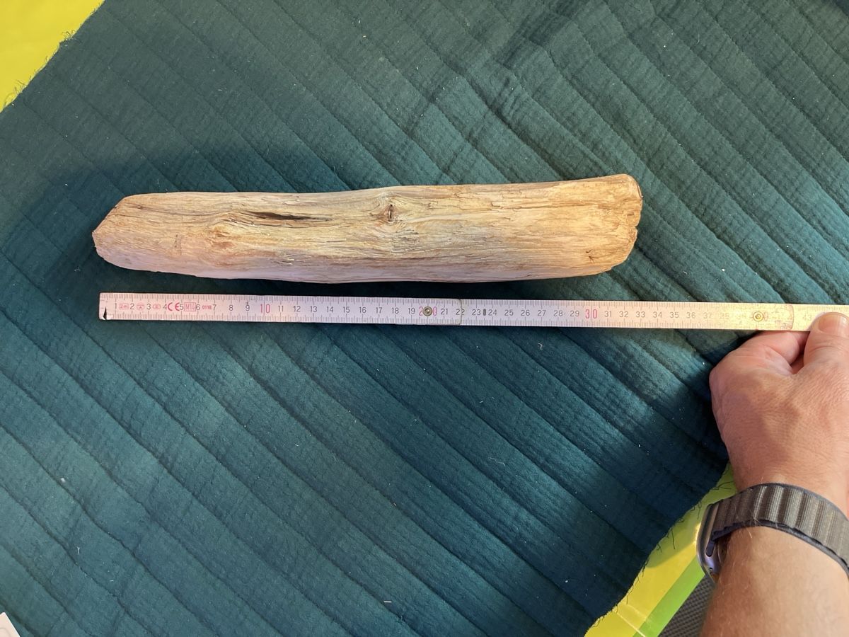 Holzartikel: Schwemmholz 2 Stück – Neu (gemäss Beschreibung) aus Brig von luk_fn87 2