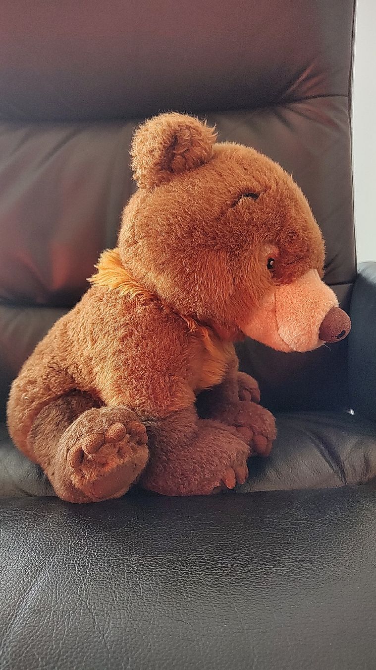 Disney Jouets: Peluche ours brun – D'occasion à Wallisellen par Scoubidou88 1