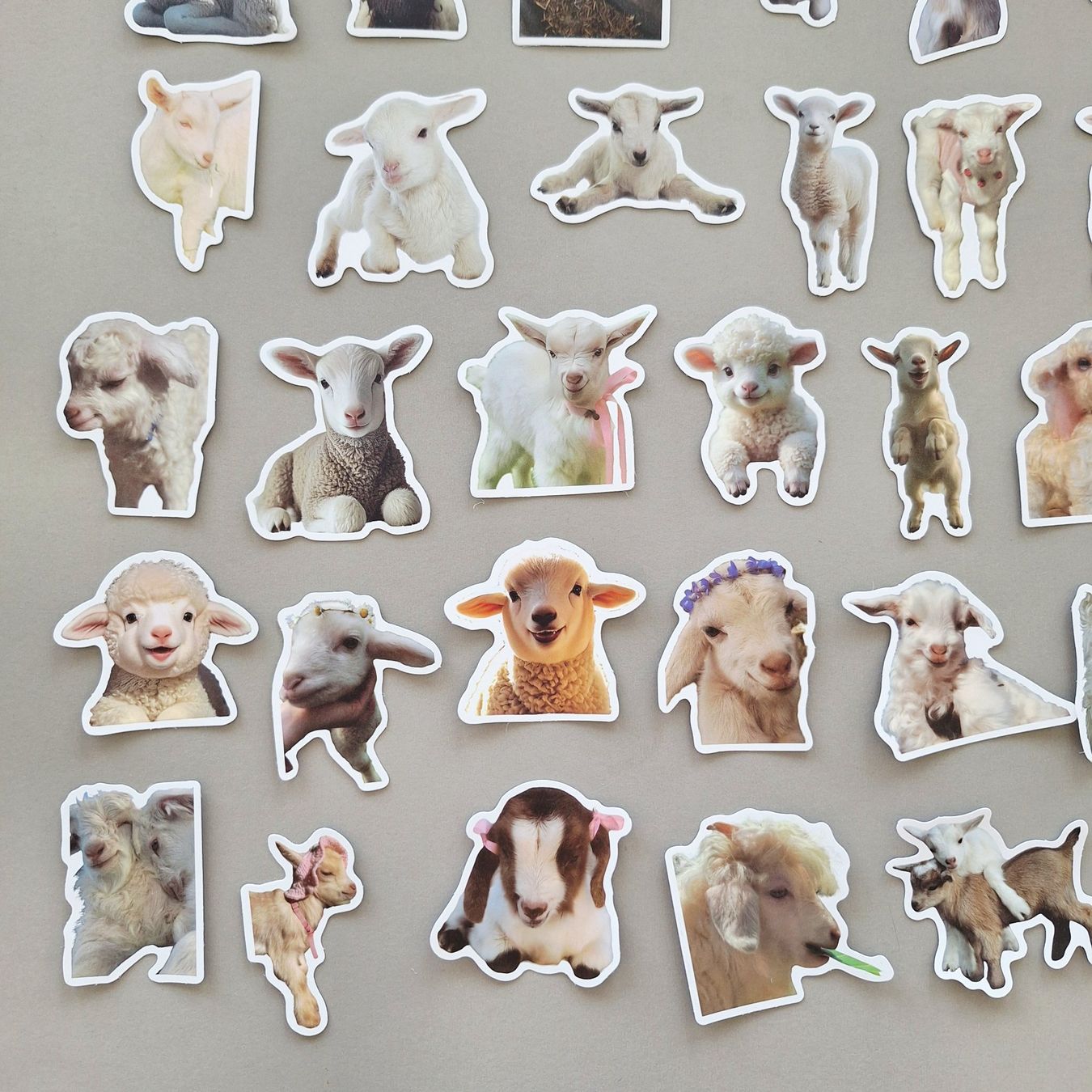 Sticker: 50 Aufkleber Sticker - Lamm Schaf – Nuovo e nell'imballaggio originale da Basel venduto da kun_2hnm 3