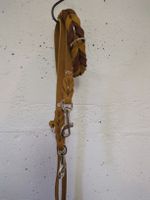 Hundeleine mit Halsband 