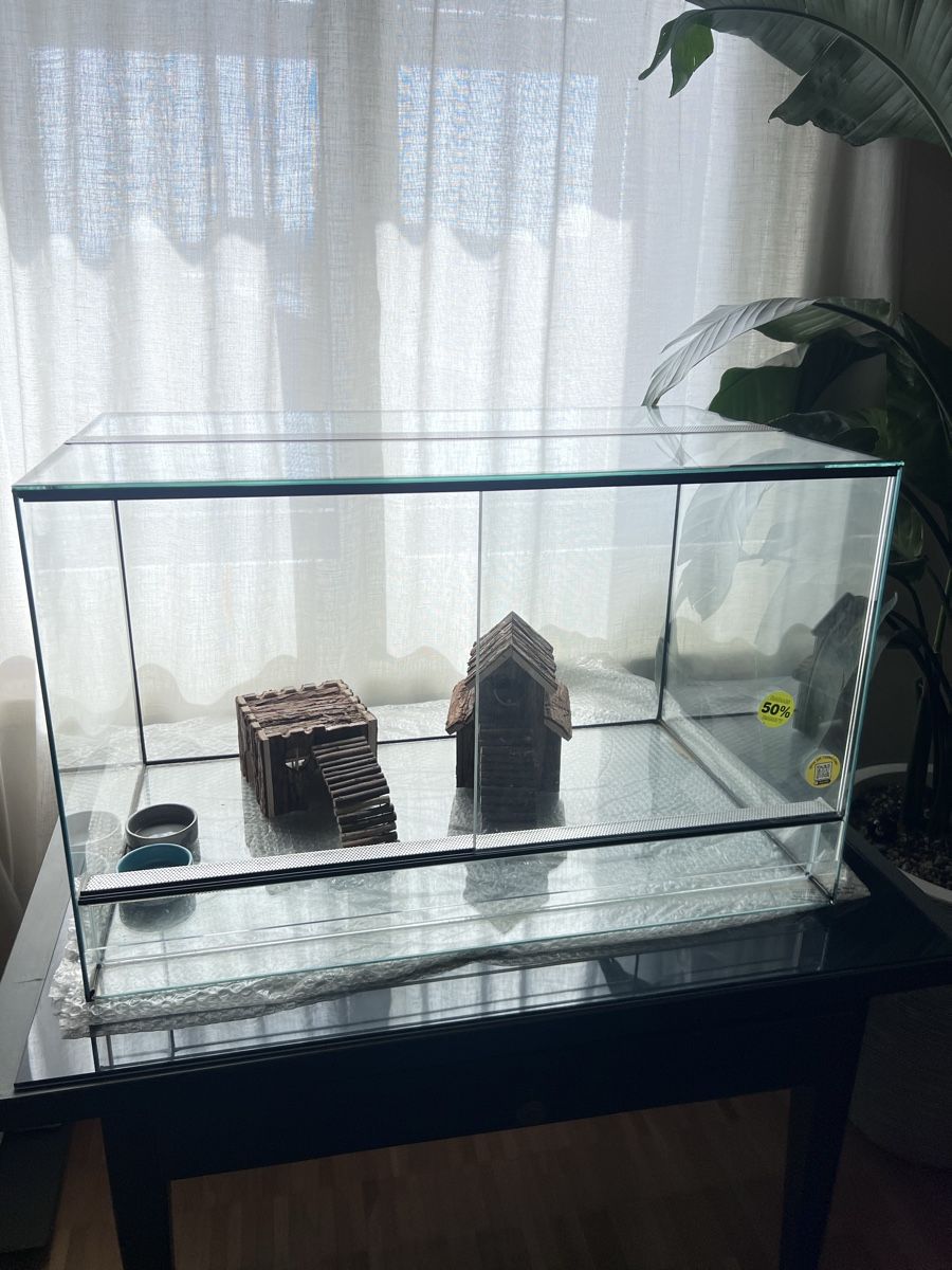 Terrario: Terrarium Neu – Nuovo e nell'imballaggio originale da zürich venduto da marc08 2