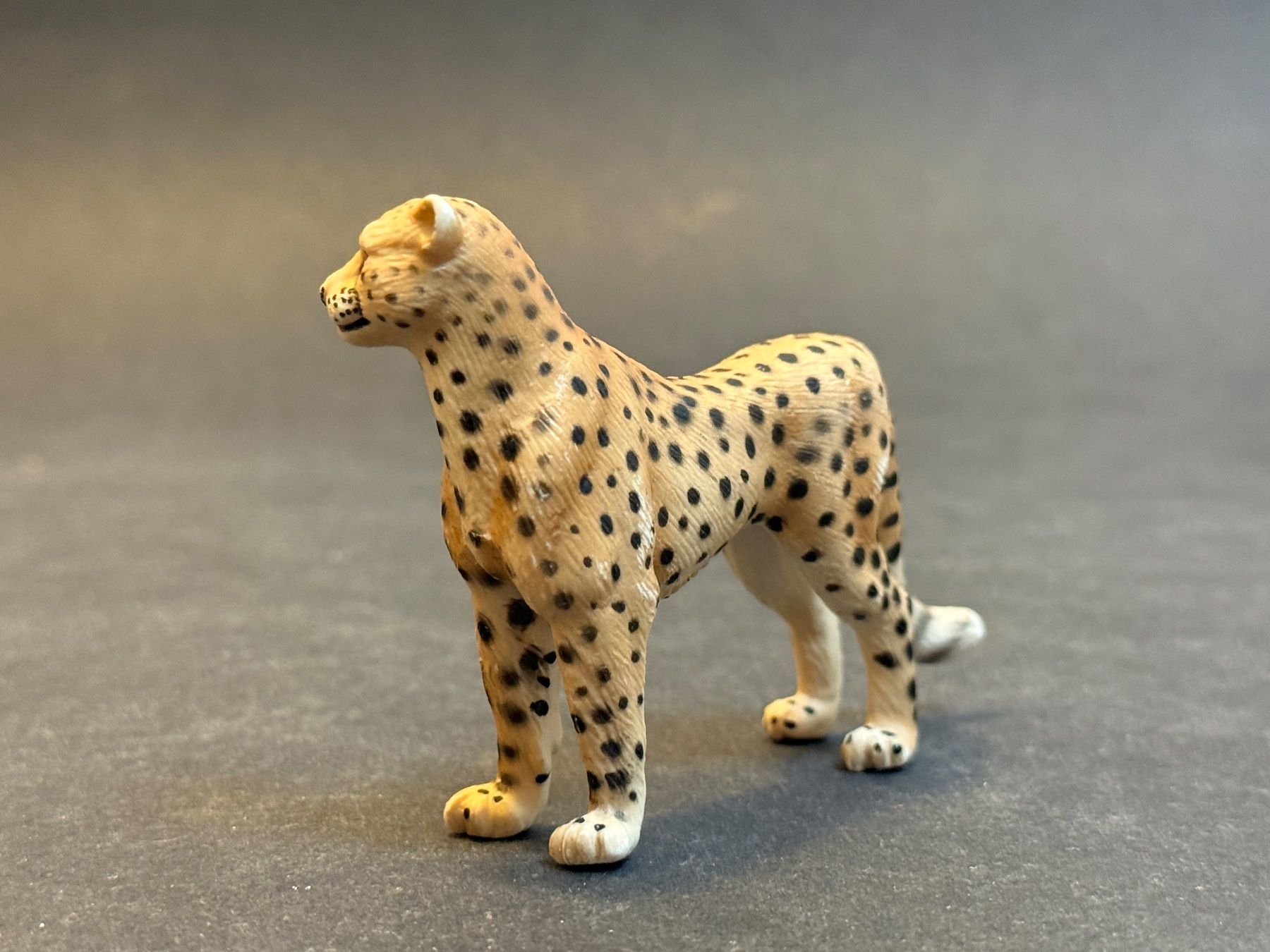 Schleich Figurines: Schleich Gepard 14143 – D'occasion à Ennetbaden par mapa05 3