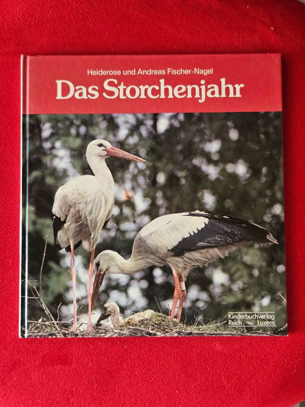 Bücher: Das Storchenjahr – Gebraucht aus Staffelbach von Frisco77