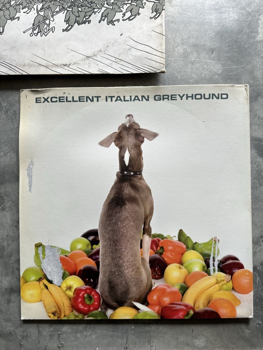 Dischi in vinile: Excellent Italian Greyhound - Shellac - LP - Math Rock – Usato da Winterthur venduto da lenolson