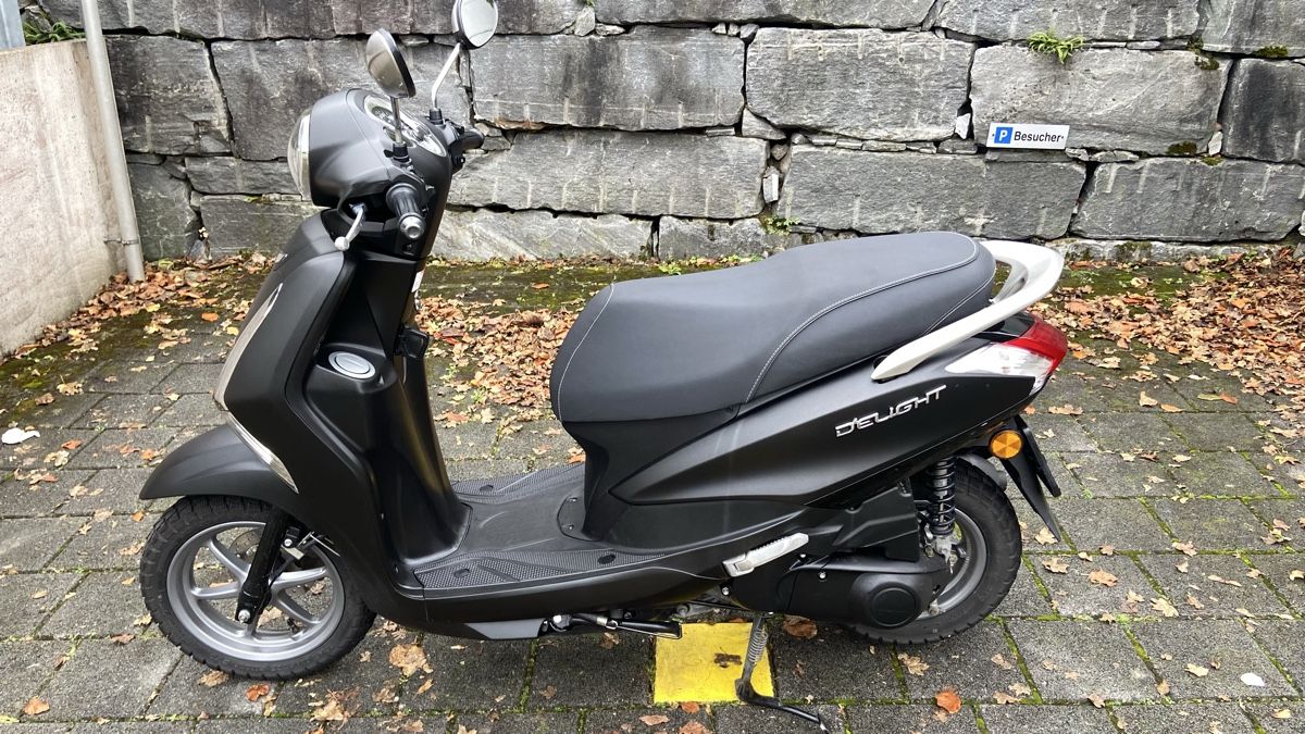 Yamaha Strada: Yamaha D‘Elight – Usato da Horw venduto da sungmalibu 1
