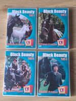 Black Beauty, Set mit 4 Discs und insgesamt 16 Folgen