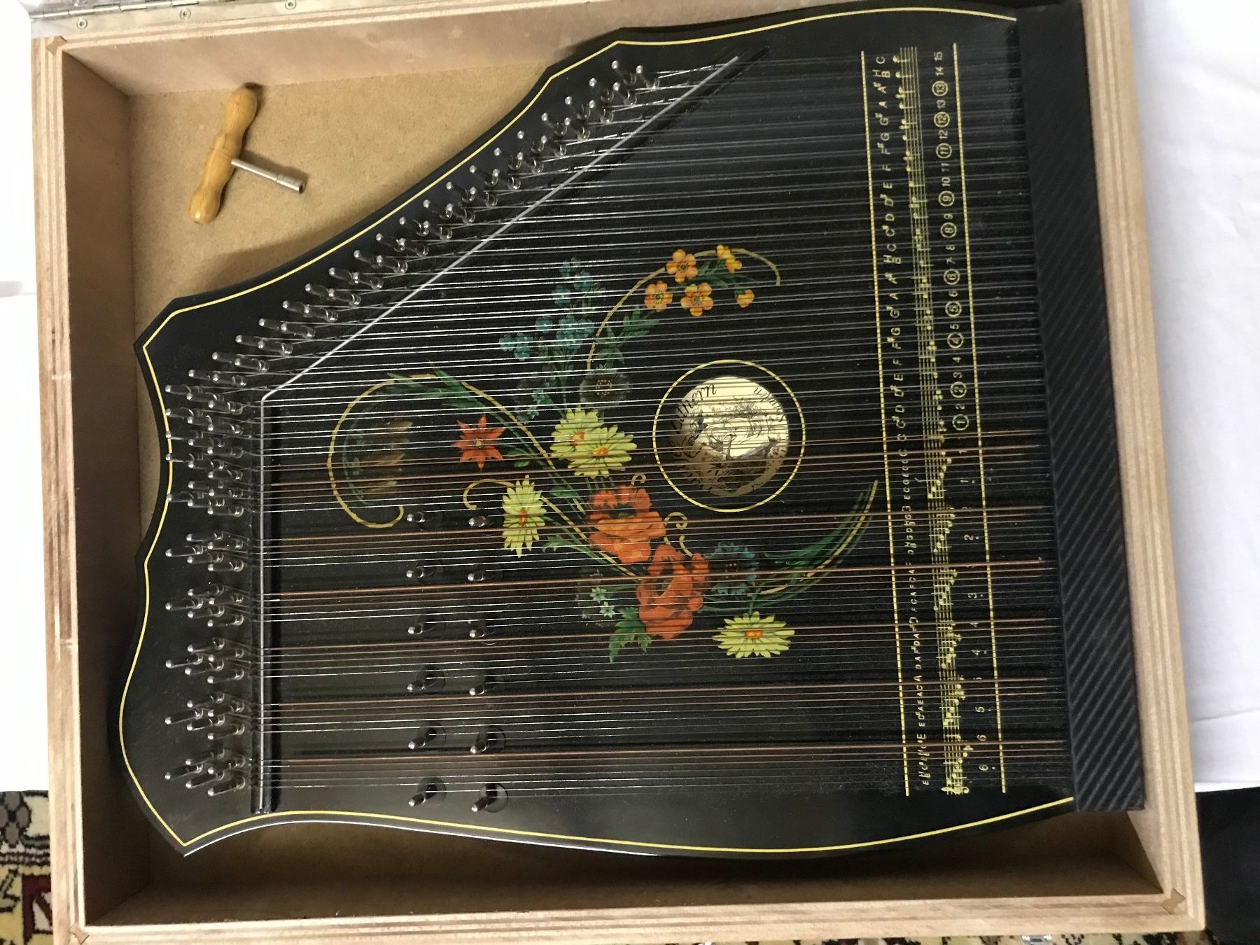 Strumenti musicali: Waldfee Zither – Usato da Ennenda venduto da ZiskaGL 1