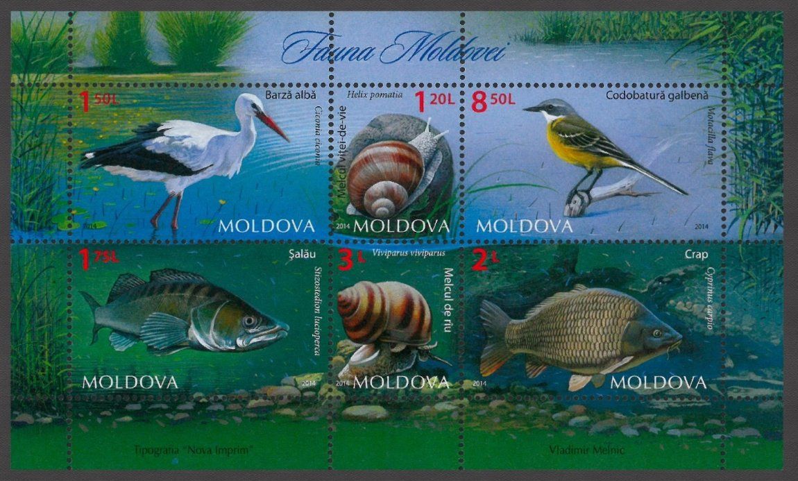Alle Briefmarken: Moldawien 2014 Vögel postfrisch – Neu (gemäss Beschreibung) aus Lausanne von dsi_7l2q