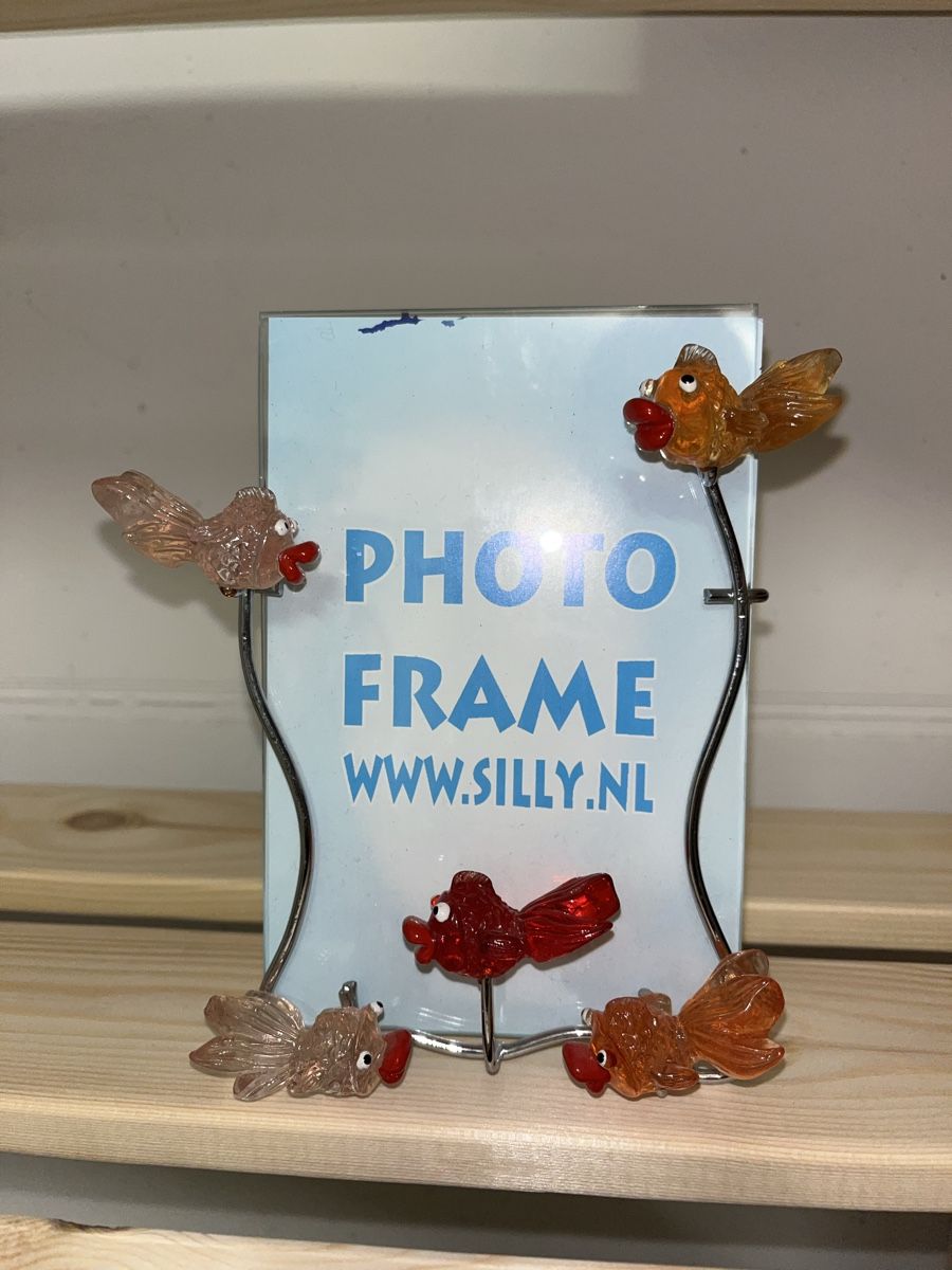 Bilderrahmen: Lustiger Bilderrahmen 10 x 15cm – Gebraucht aus Küsnacht ZH von naid