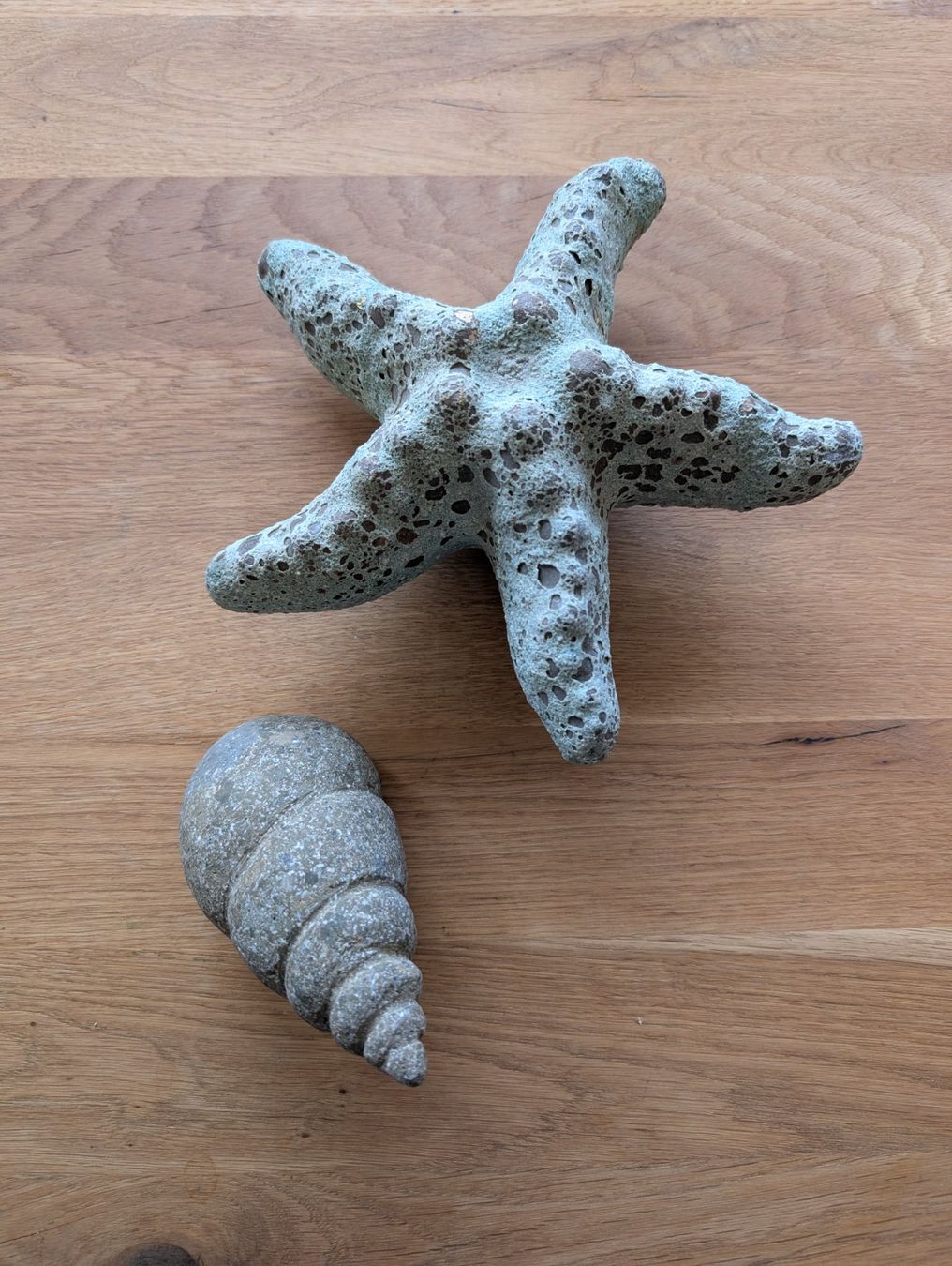 Tutte le decorazioni: Muschel und Seestern – Usato da Walchwil venduto da Rica_qmy6