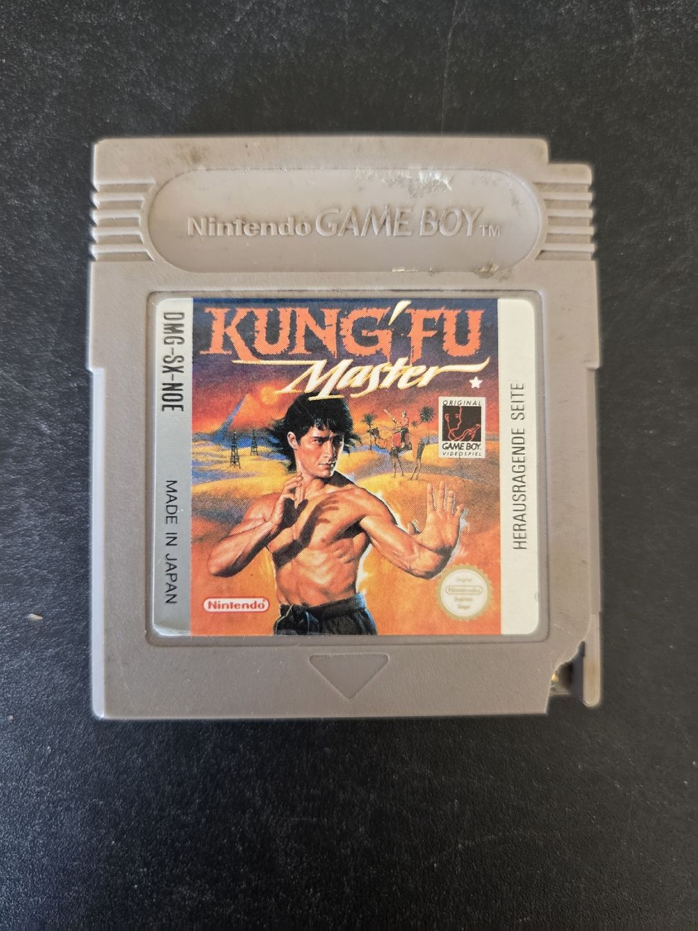 Giochi: Kung Fu Master – Usato da Territet venduto da Cenh