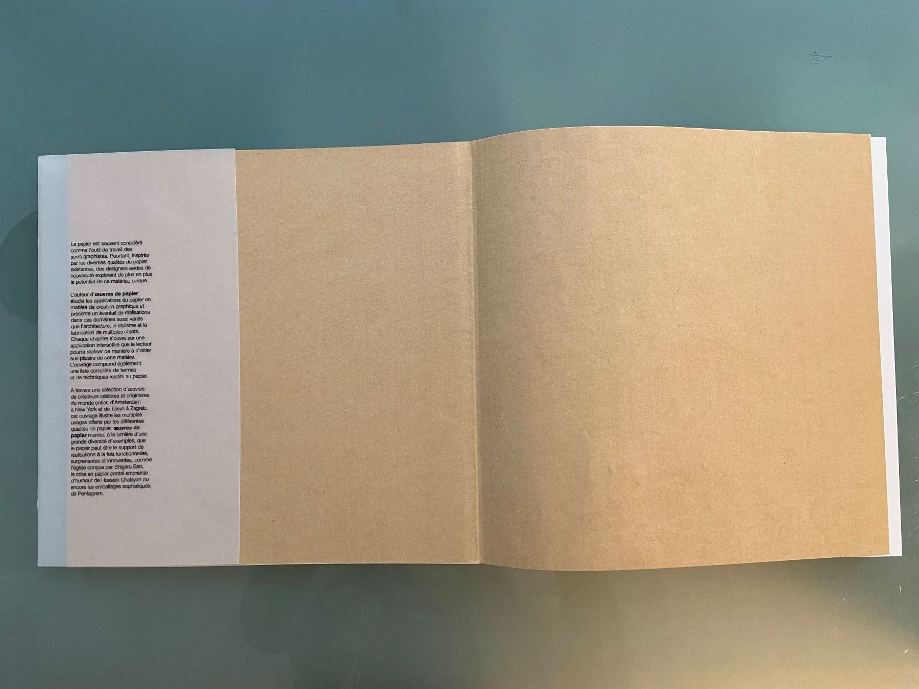 Libri: Œuvres de papier de Nancy Williams – Usato da Lausanne venduto da maintenant 3