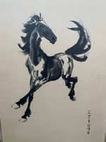 Bild Original Pferd 