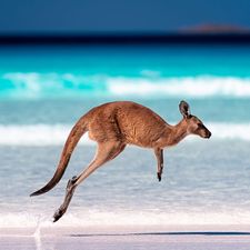 Profile image of Australia013
